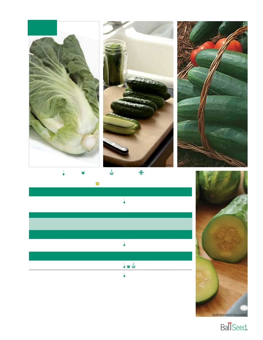 Ball Seed Seed and Plugs Catalog Weekly Ad August 31, 2026 - December 31, 2028