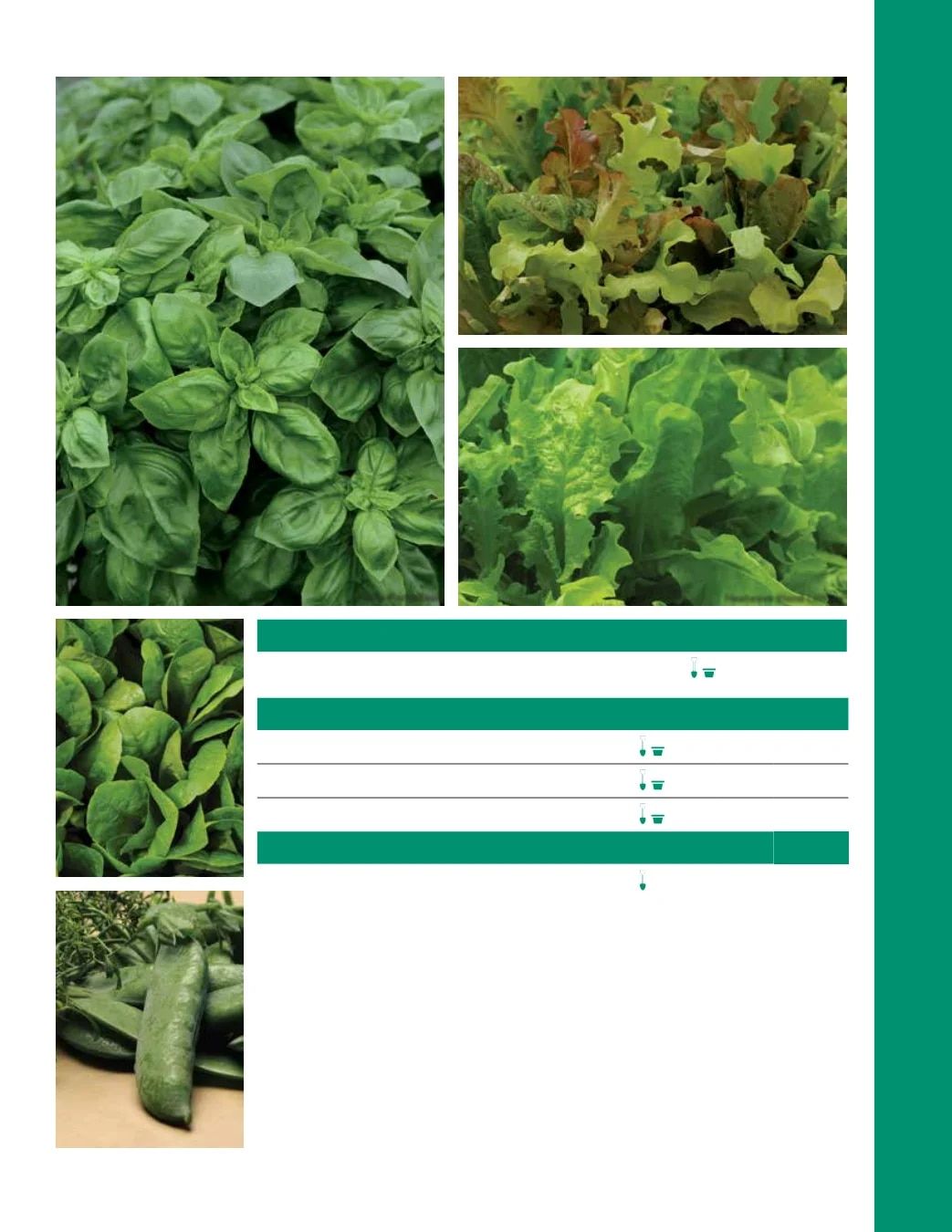 Ball Seed Seed and Plugs Catalog Weekly Ad August 31, 2026 - December 31, 2028
