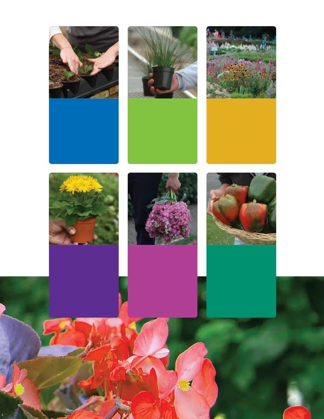 Ball Seed Seed and Plugs Catalog Weekly Ad August 31, 2026 - December 31, 2028