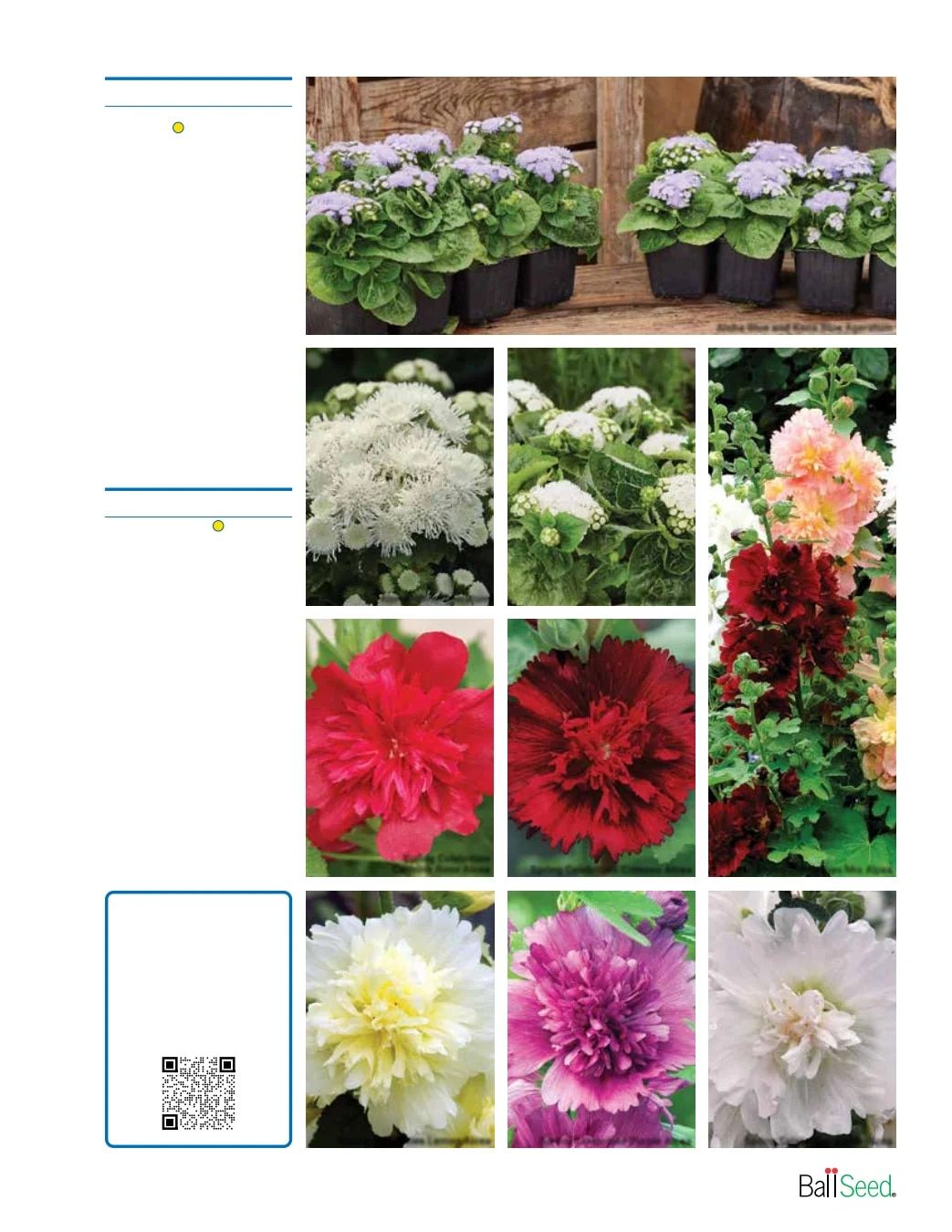 Ball Seed Seed and Plugs Catalog Weekly Ad August 31, 2026 - December 31, 2028