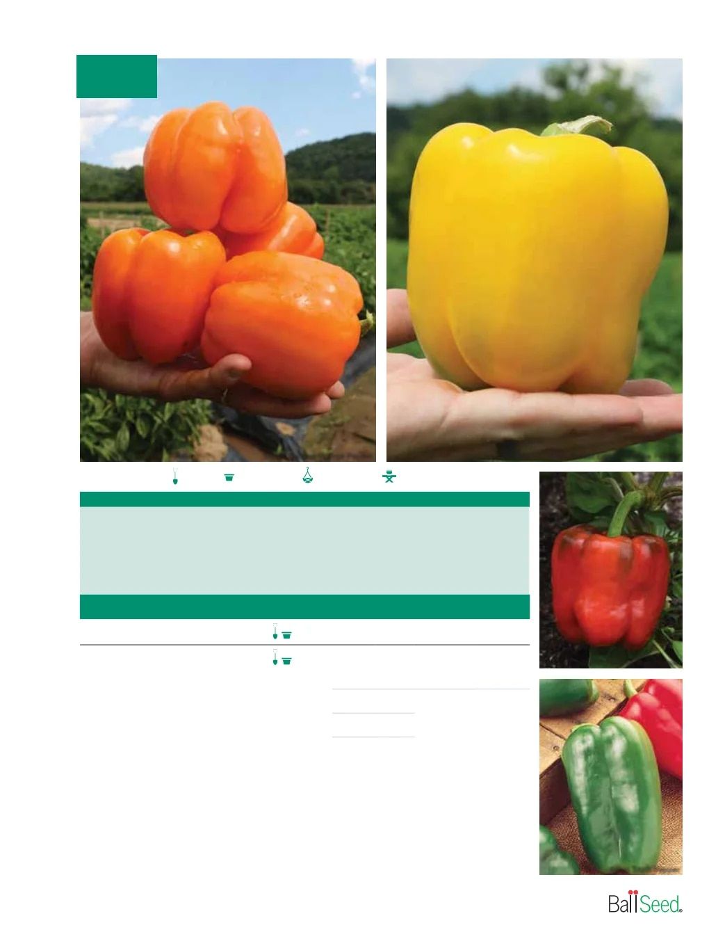 Ball Seed Seed and Plugs Catalog Weekly Ad August 31, 2026 - December 31, 2028