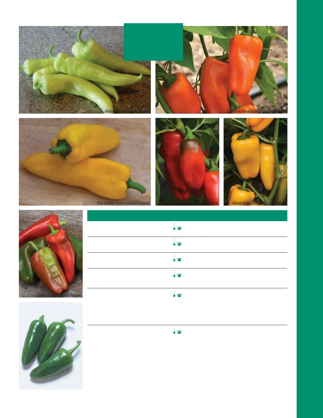 Ball Seed Seed and Plugs Catalog Weekly Ad August 31, 2026 - December 31, 2028