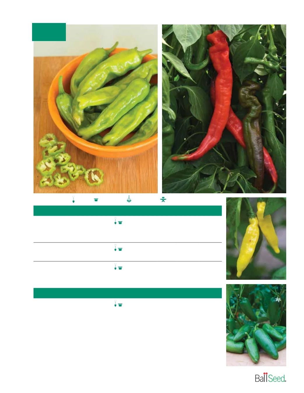 Ball Seed Seed and Plugs Catalog Weekly Ad August 31, 2026 - December 31, 2028