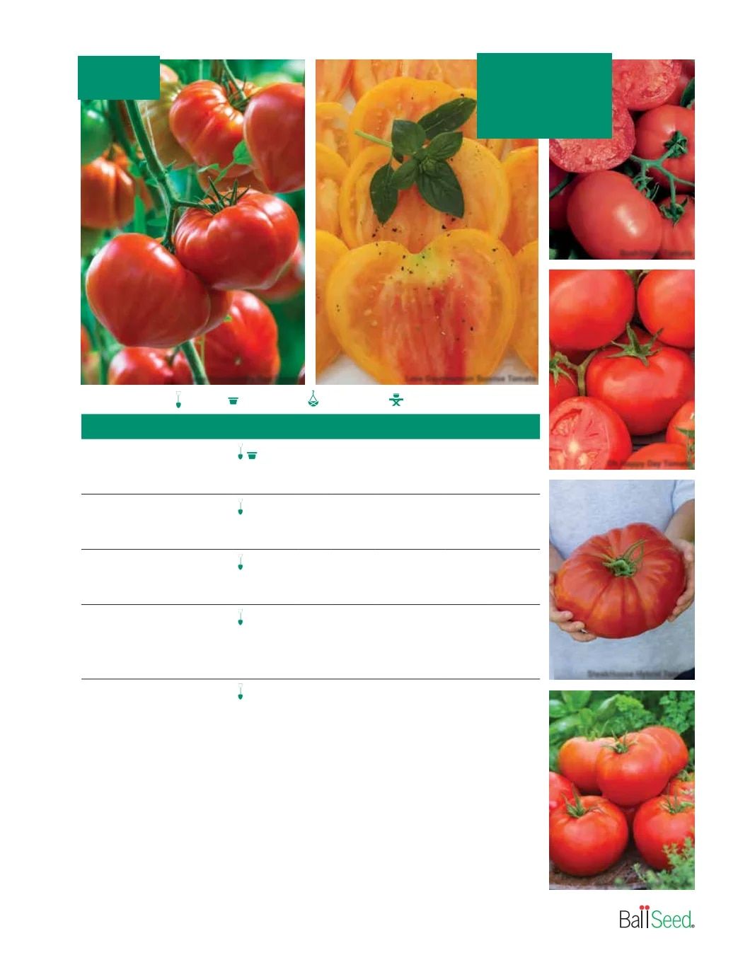 Ball Seed Seed and Plugs Catalog Weekly Ad August 31, 2026 - December 31, 2028
