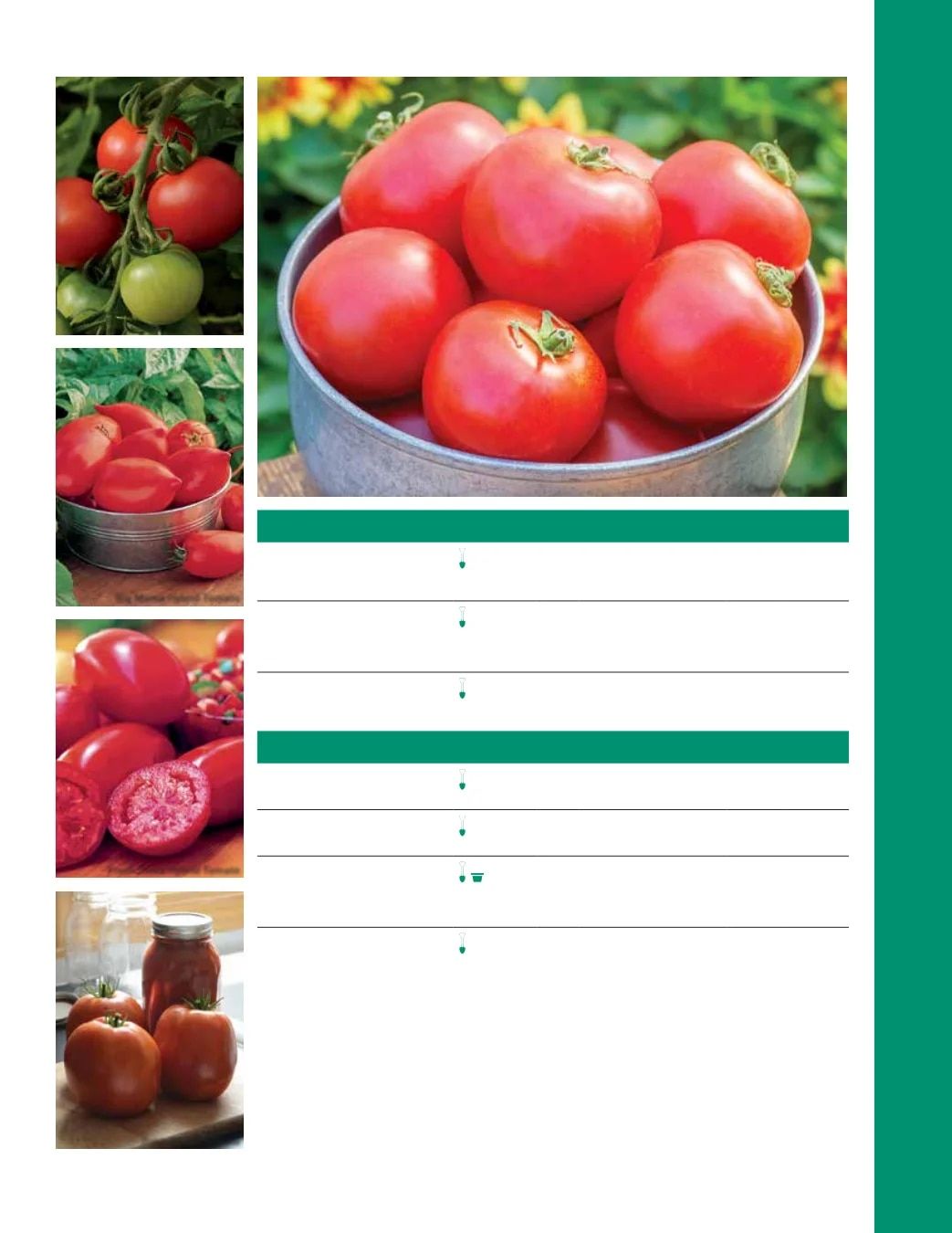 Ball Seed Seed and Plugs Catalog Weekly Ad August 31, 2026 - December 31, 2028