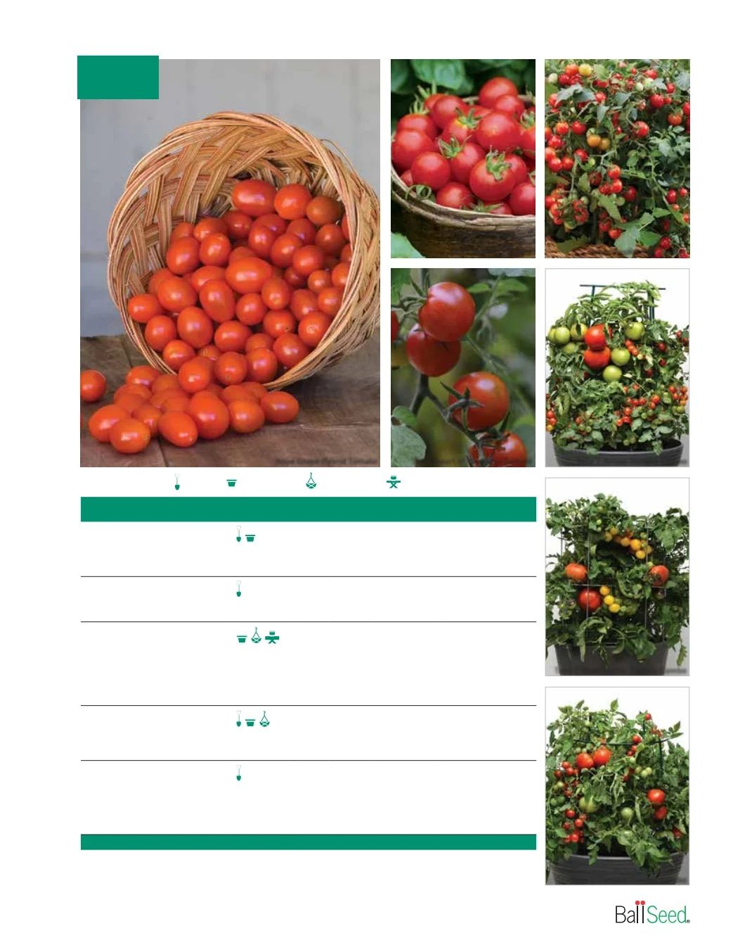 Ball Seed Seed and Plugs Catalog Weekly Ad August 31, 2026 - December 31, 2028