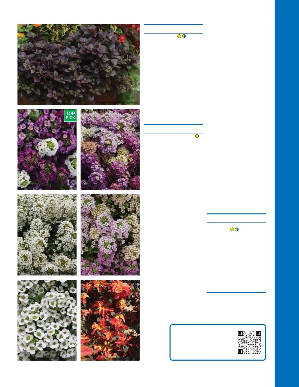 Ball Seed Seed and Plugs Catalog Weekly Ad August 31, 2026 - December 31, 2028