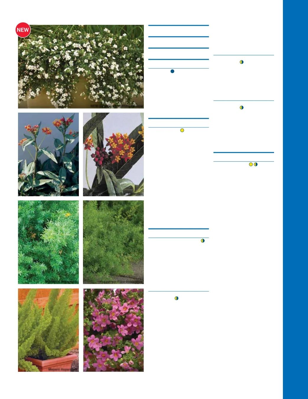 Ball Seed Seed and Plugs Catalog Weekly Ad August 31, 2026 - December 31, 2028