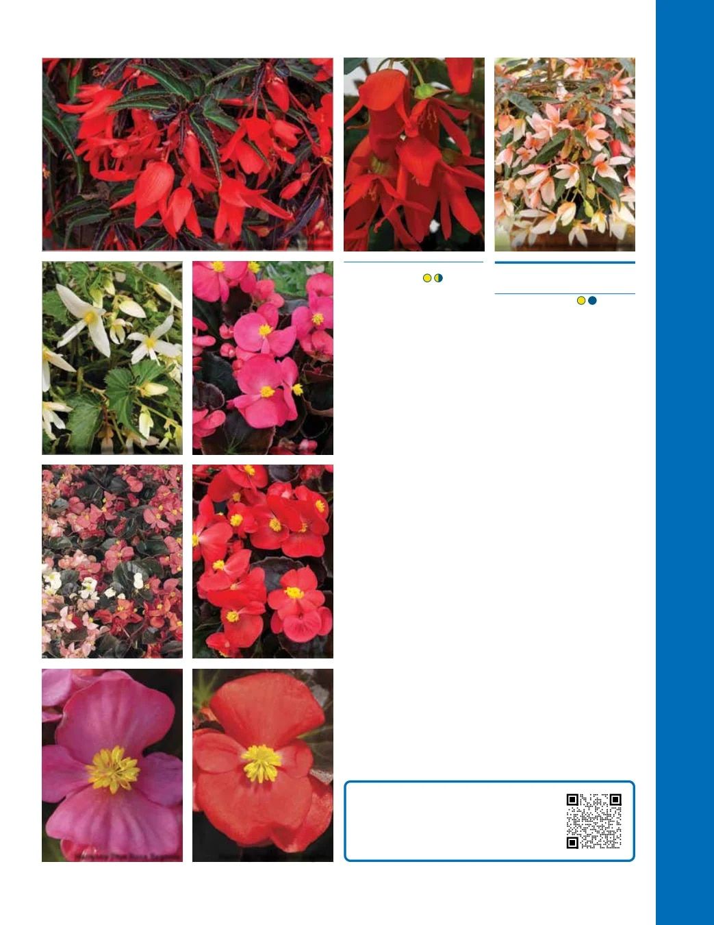 Ball Seed Seed and Plugs Catalog Weekly Ad August 31, 2026 - December 31, 2028