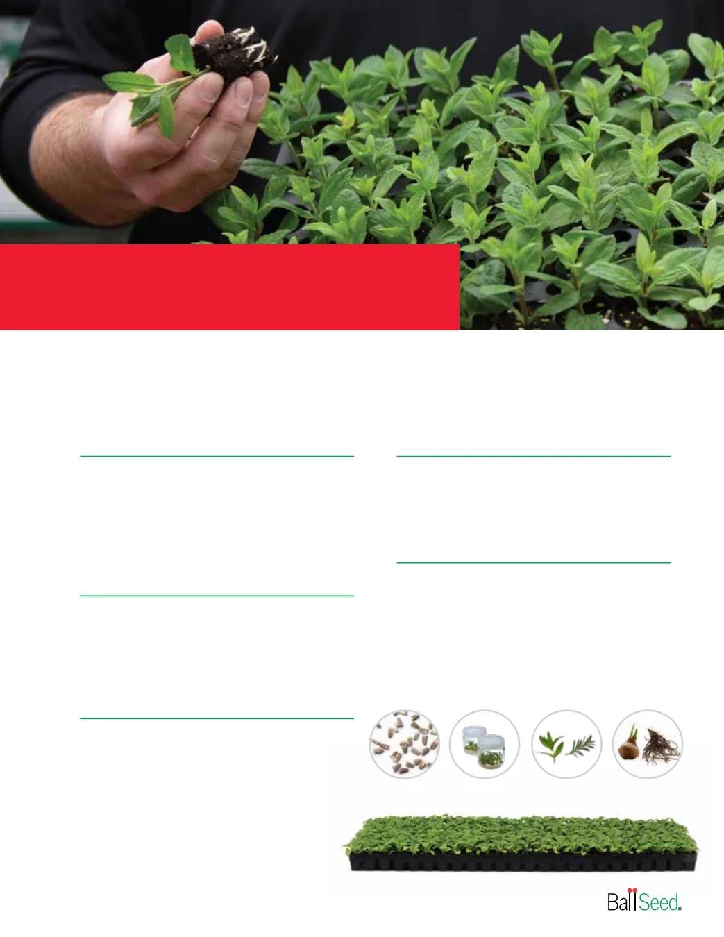 Ball Seed Seed and Plugs Catalog Weekly Ad August 31, 2026 - December 31, 2028