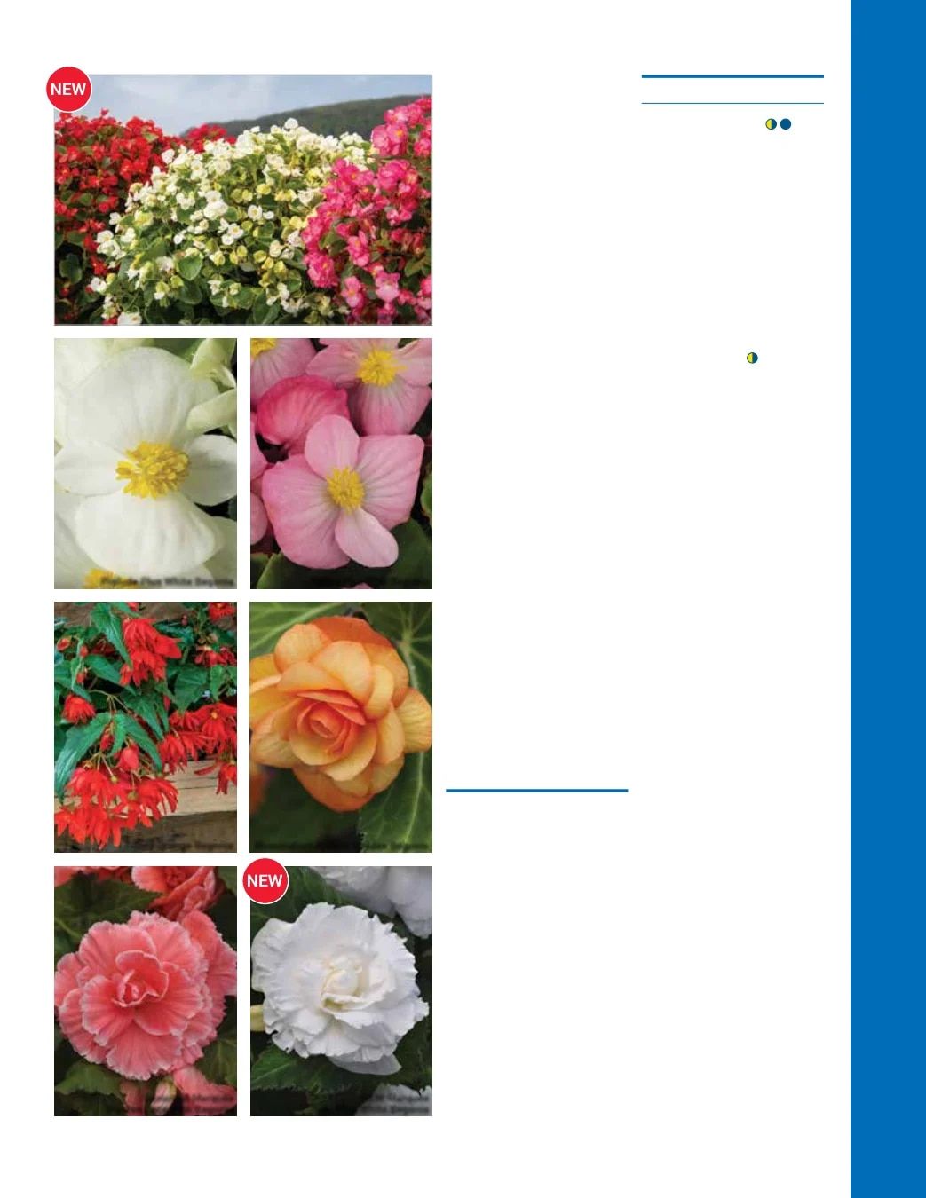 Ball Seed Seed and Plugs Catalog Weekly Ad August 31, 2026 - December 31, 2028