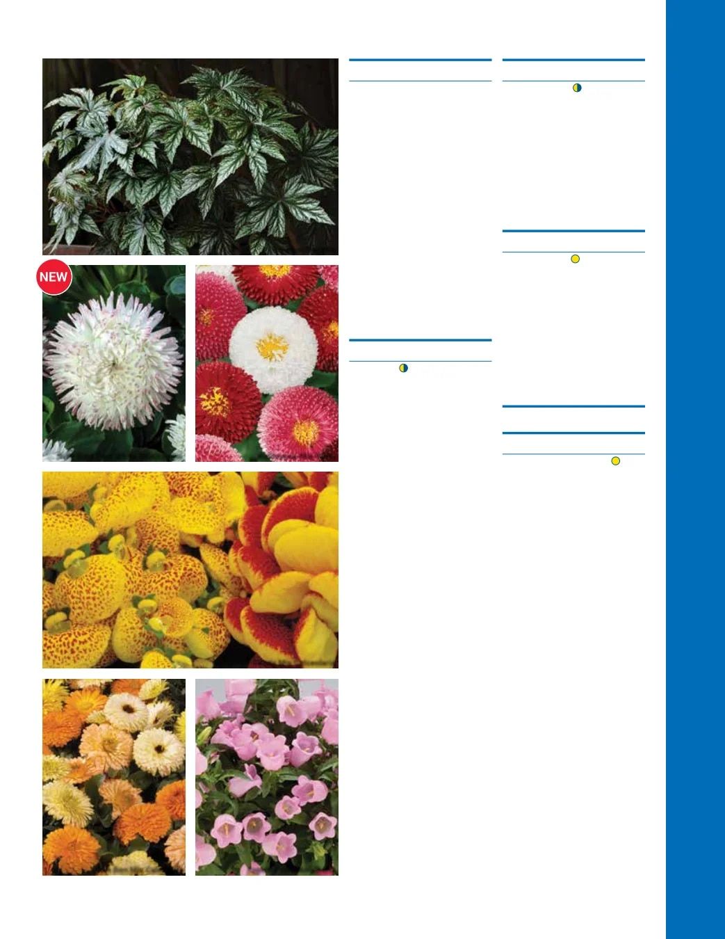 Ball Seed Seed and Plugs Catalog Weekly Ad August 31, 2026 - December 31, 2028