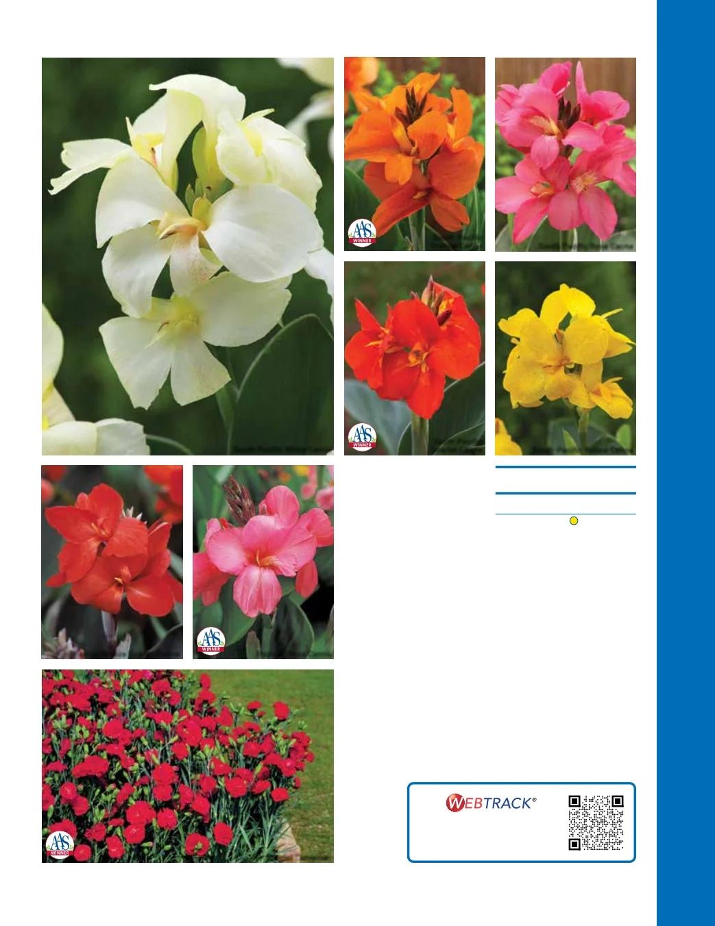 Ball Seed Seed and Plugs Catalog Weekly Ad August 31, 2026 - December 31, 2028