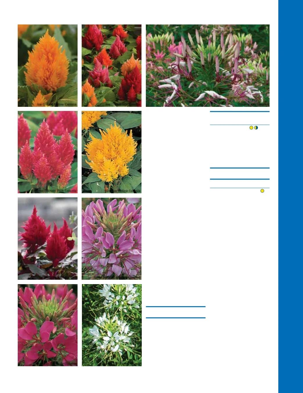 Ball Seed Seed and Plugs Catalog Weekly Ad August 31, 2026 - December 31, 2028
