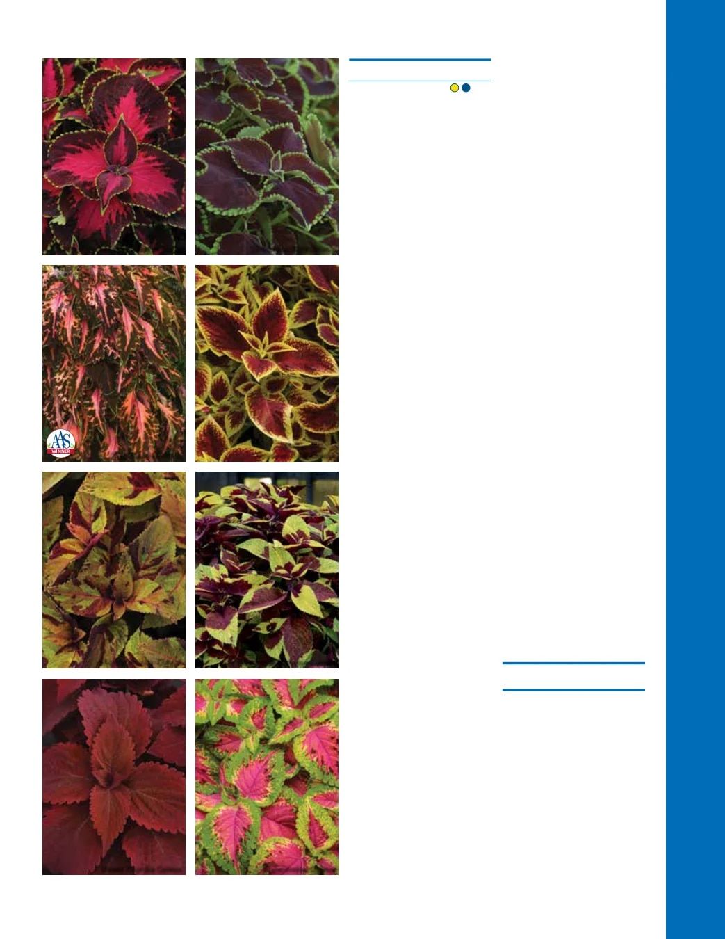 Ball Seed Seed and Plugs Catalog Weekly Ad August 31, 2026 - December 31, 2028