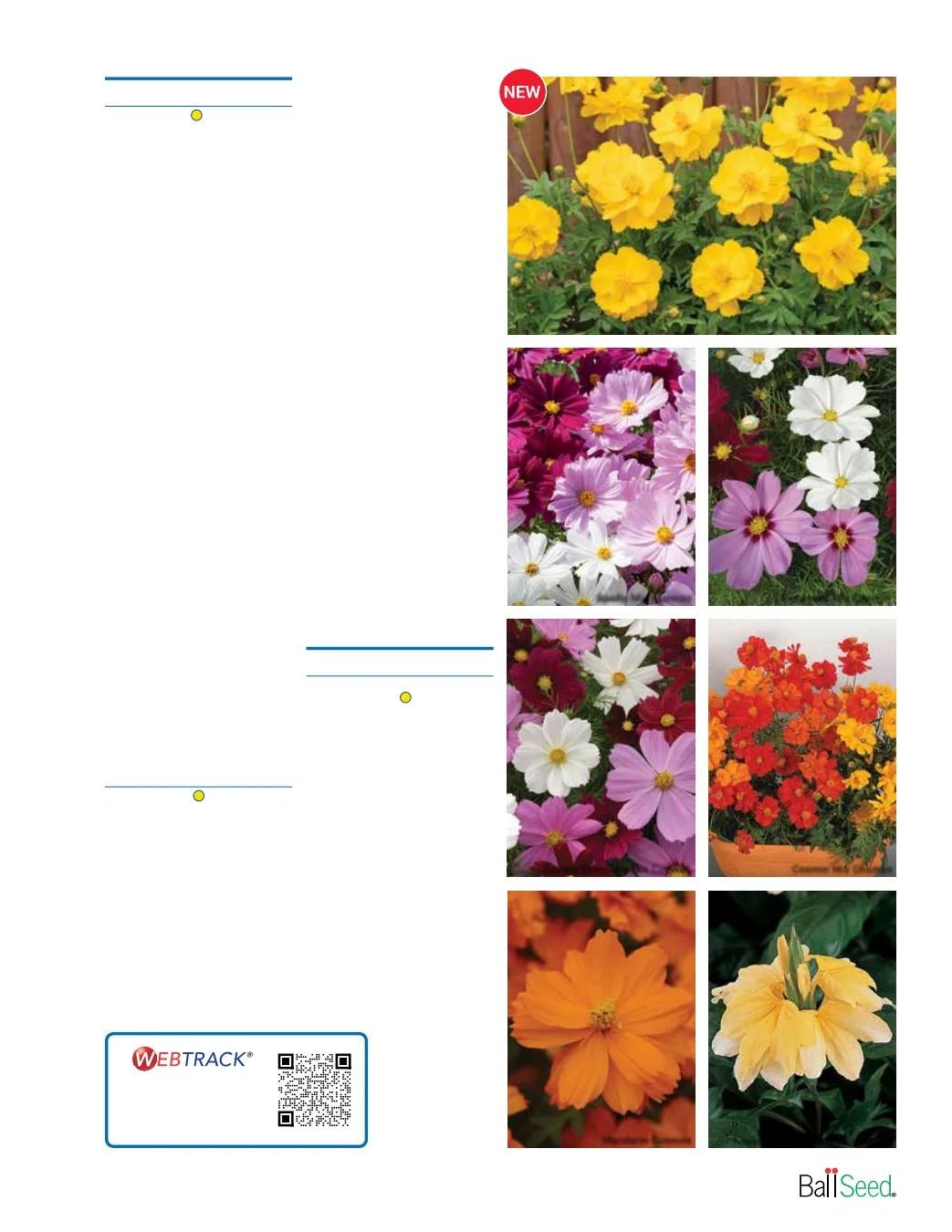 Ball Seed Seed and Plugs Catalog Weekly Ad August 31, 2026 - December 31, 2028