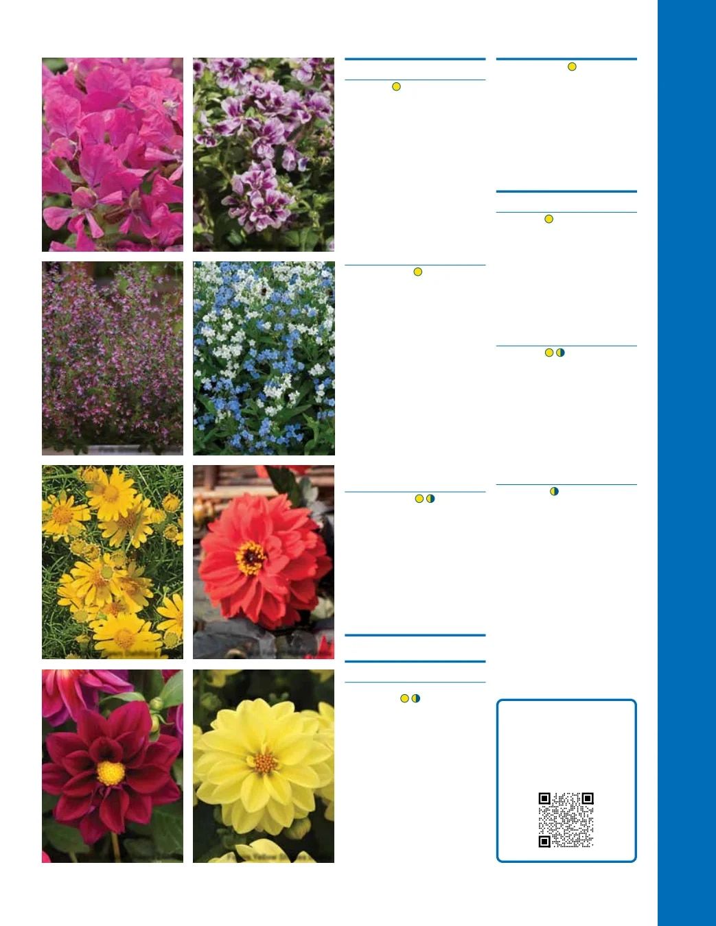 Ball Seed Seed and Plugs Catalog Weekly Ad August 31, 2026 - December 31, 2028