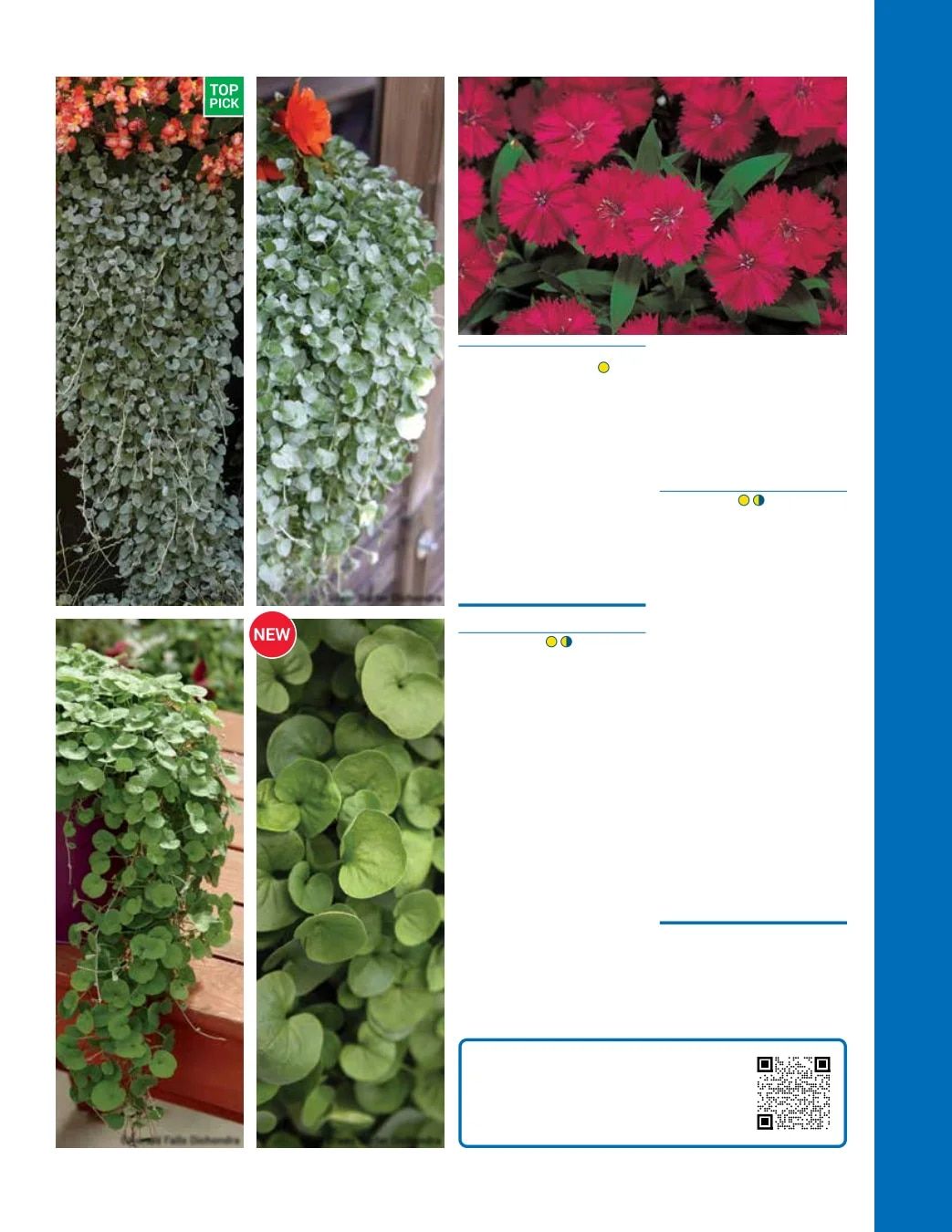 Ball Seed Seed and Plugs Catalog Weekly Ad August 31, 2026 - December 31, 2028