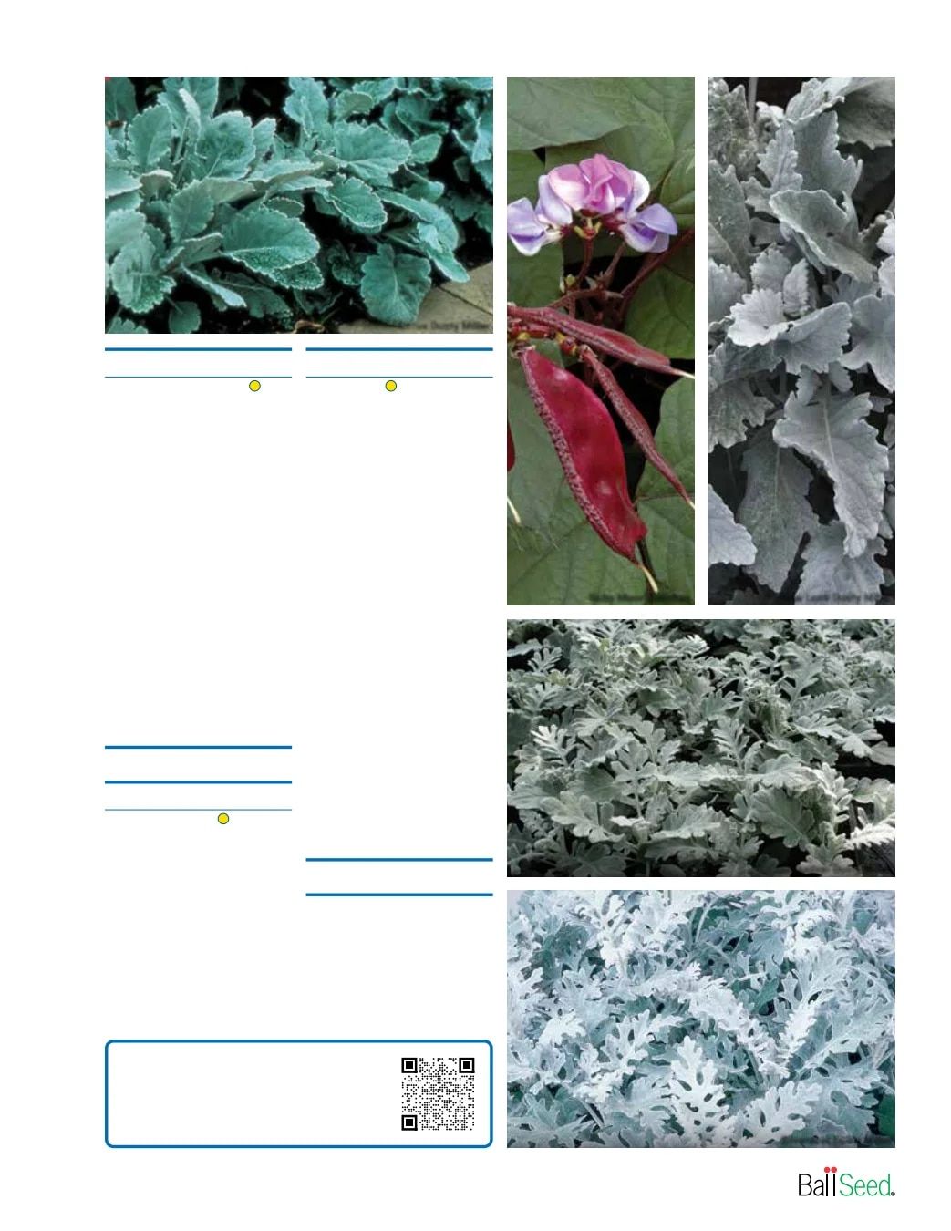 Ball Seed Seed and Plugs Catalog Weekly Ad August 31, 2026 - December 31, 2028