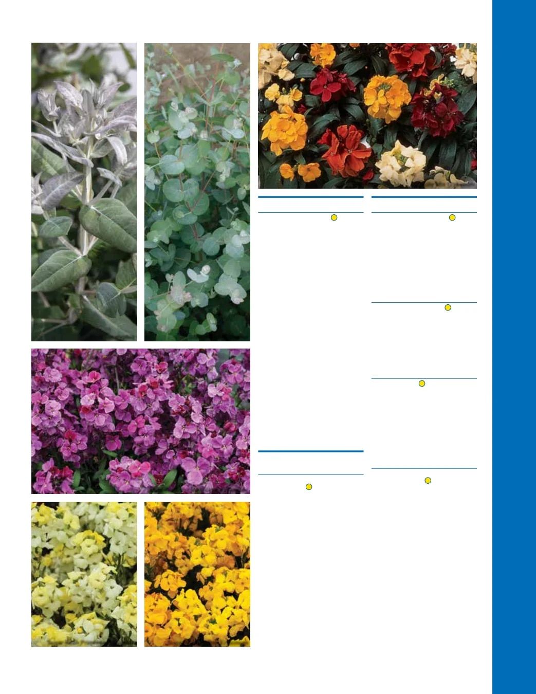Ball Seed Seed and Plugs Catalog Weekly Ad August 31, 2026 - December 31, 2028