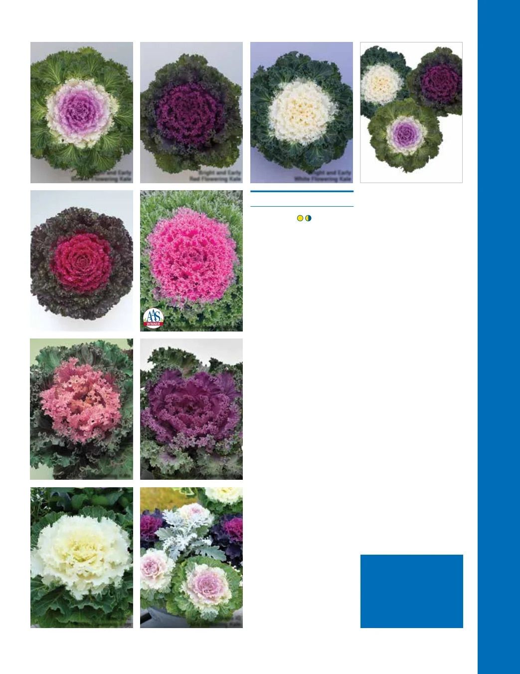 Ball Seed Seed and Plugs Catalog Weekly Ad August 31, 2026 - December 31, 2028
