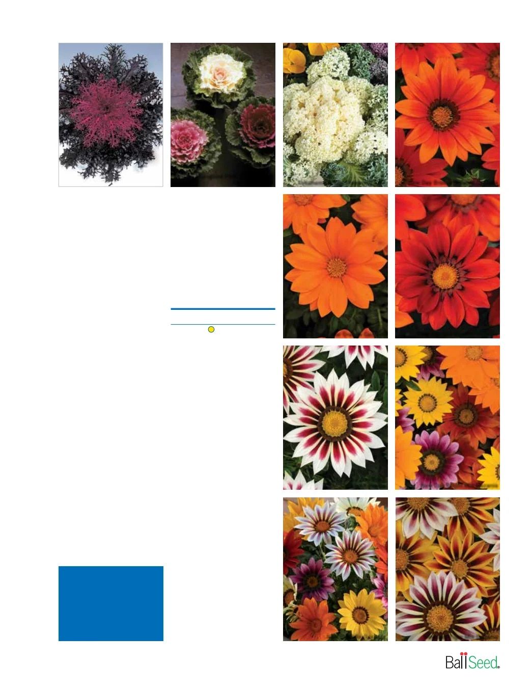 Ball Seed Seed and Plugs Catalog Weekly Ad August 31, 2026 - December 31, 2028