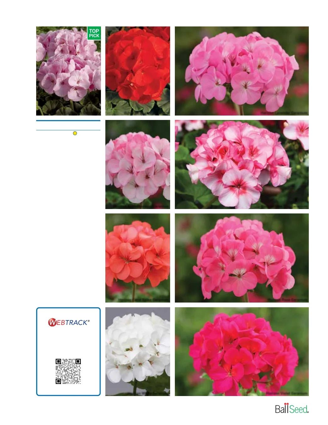 Ball Seed Seed and Plugs Catalog Weekly Ad August 31, 2026 - December 31, 2028