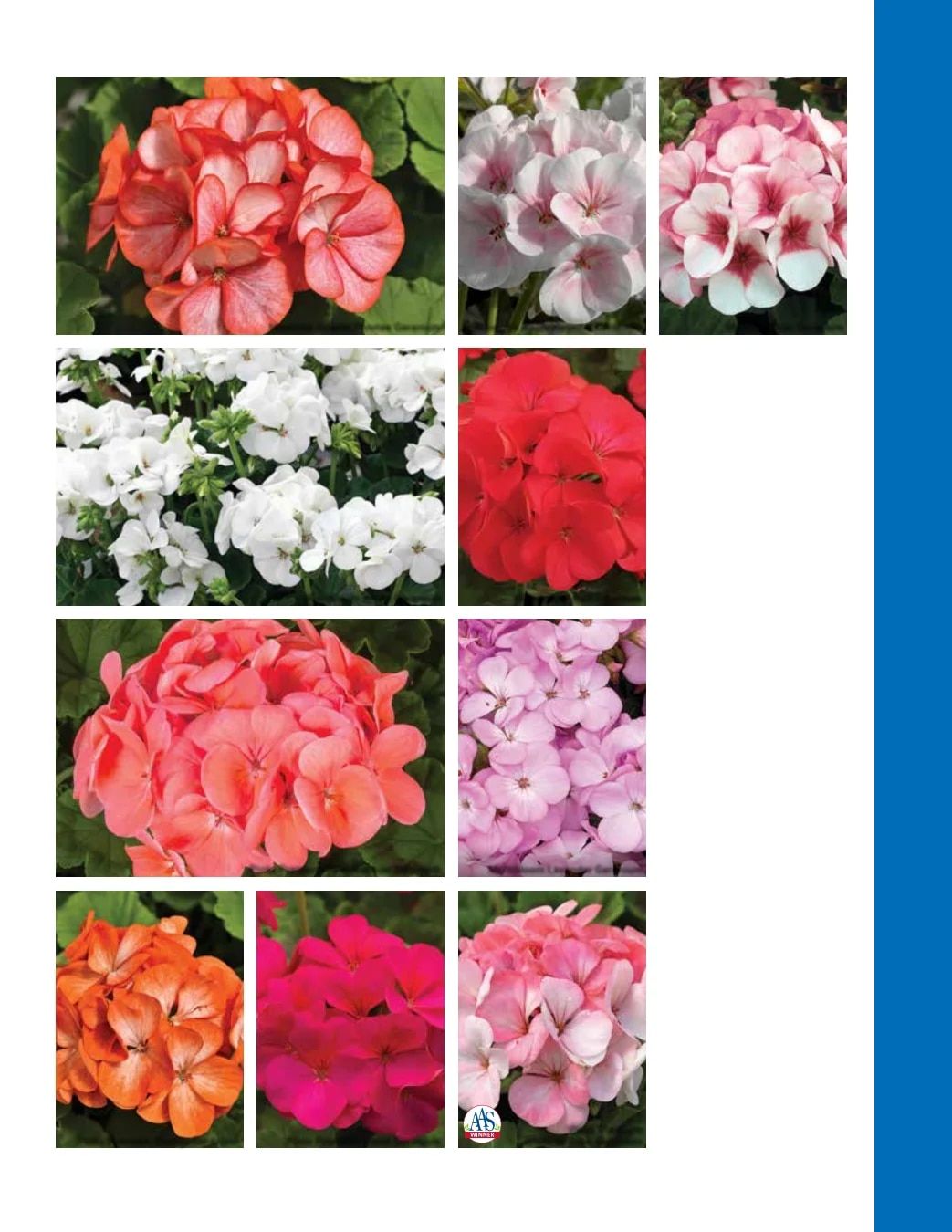 Ball Seed Seed and Plugs Catalog Weekly Ad August 31, 2026 - December 31, 2028