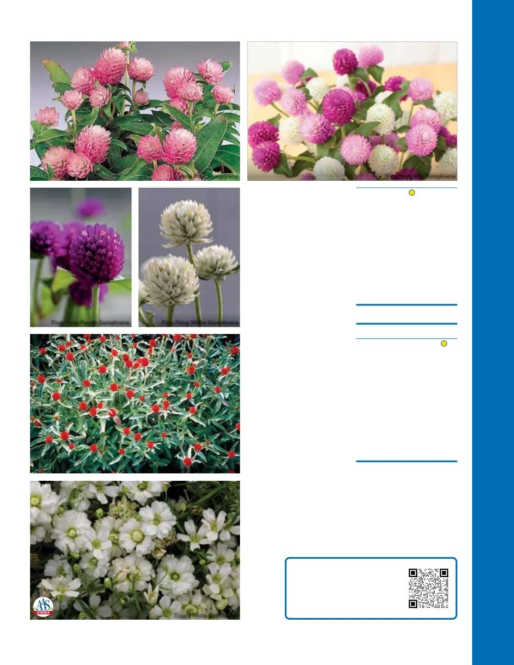 Ball Seed Seed and Plugs Catalog Weekly Ad August 31, 2026 - December 31, 2028