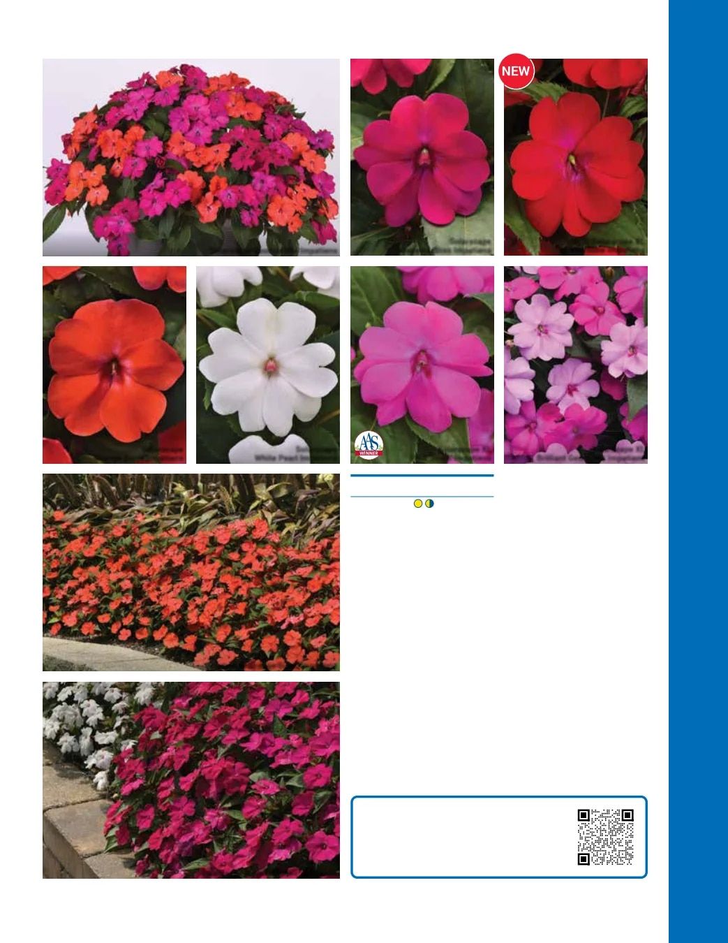Ball Seed Seed and Plugs Catalog Weekly Ad August 31, 2026 - December 31, 2028