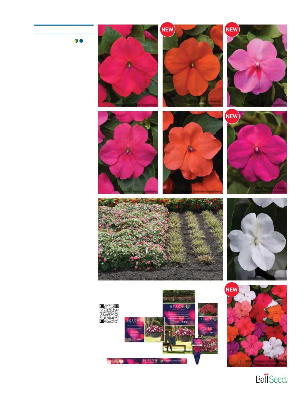 Ball Seed Seed and Plugs Catalog Weekly Ad August 31, 2026 - December 31, 2028