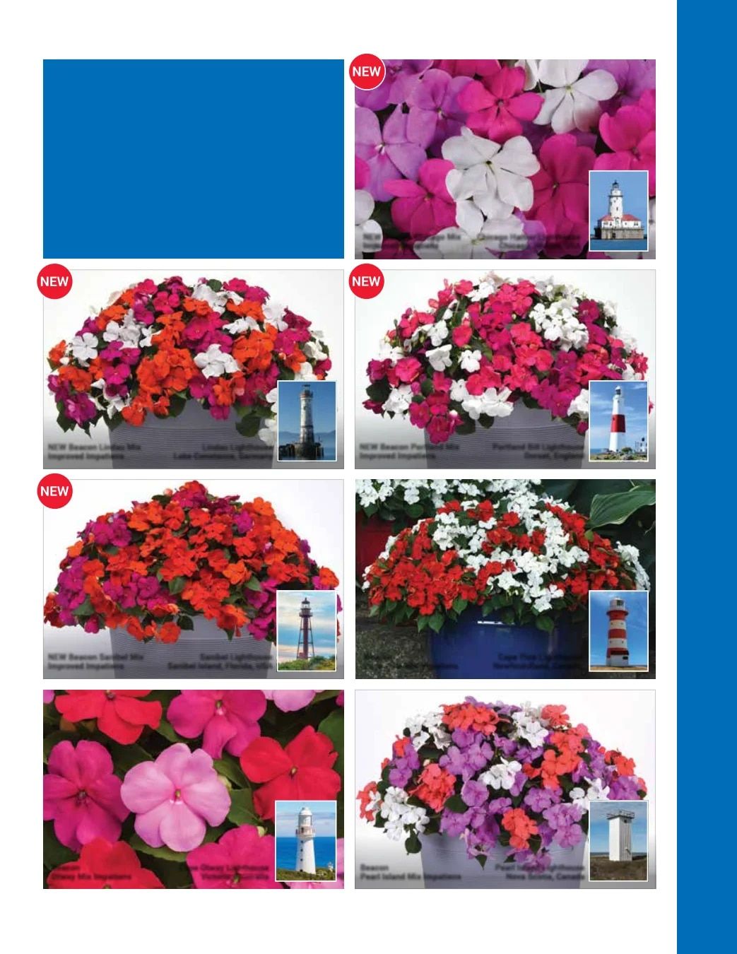 Ball Seed Seed and Plugs Catalog Weekly Ad August 31, 2026 - December 31, 2028