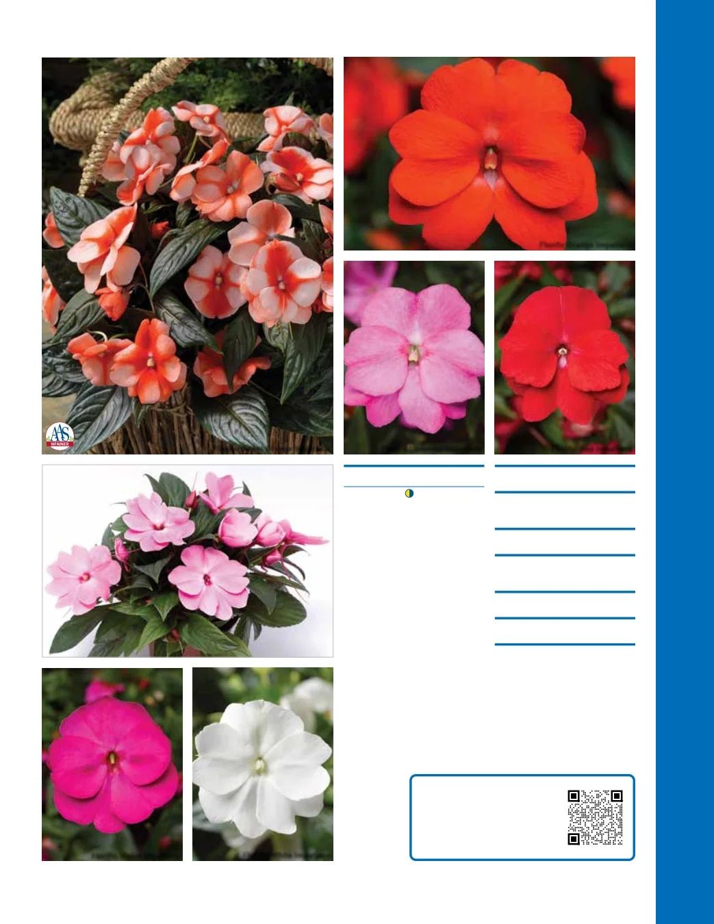 Ball Seed Seed and Plugs Catalog Weekly Ad August 31, 2026 - December 31, 2028