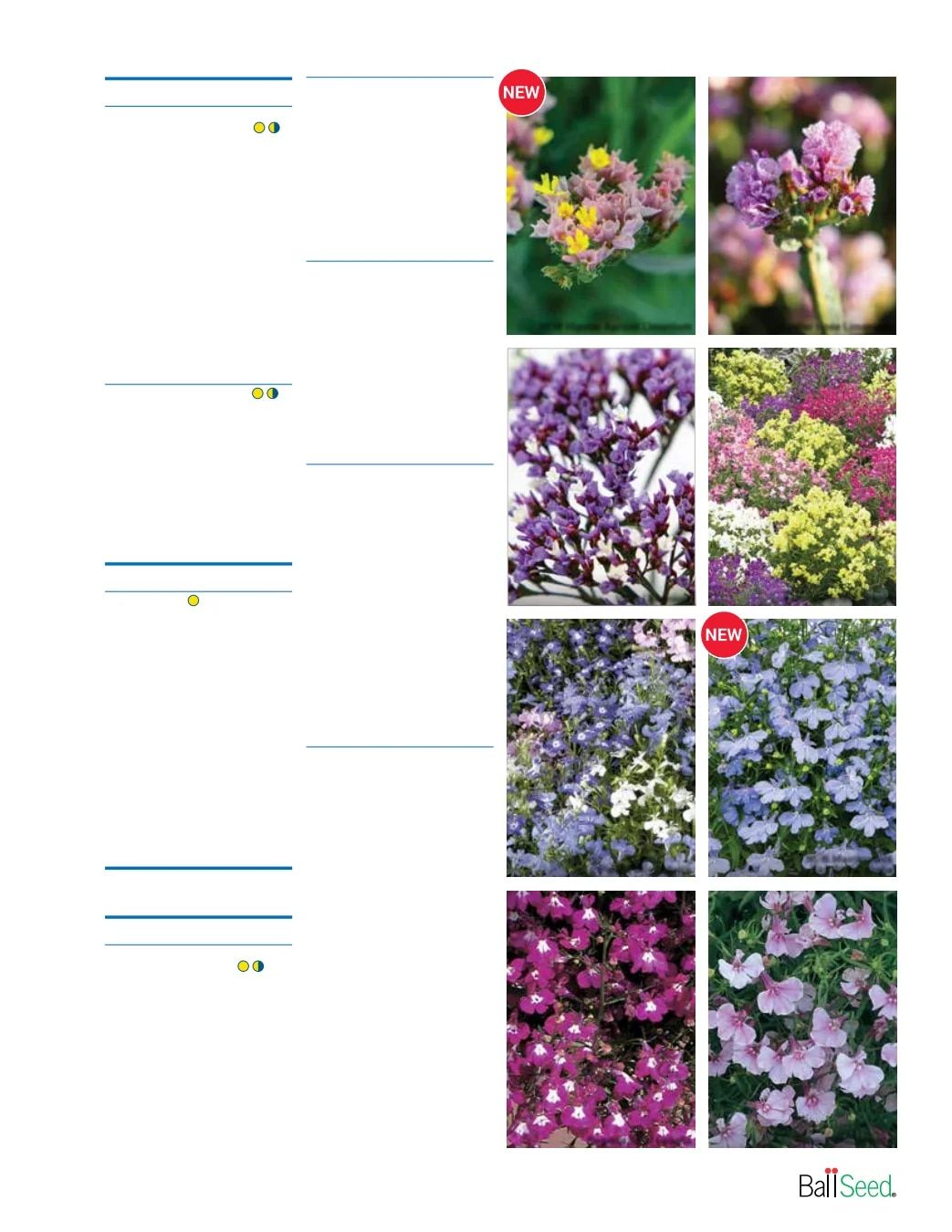Ball Seed Seed and Plugs Catalog Weekly Ad August 31, 2026 - December 31, 2028