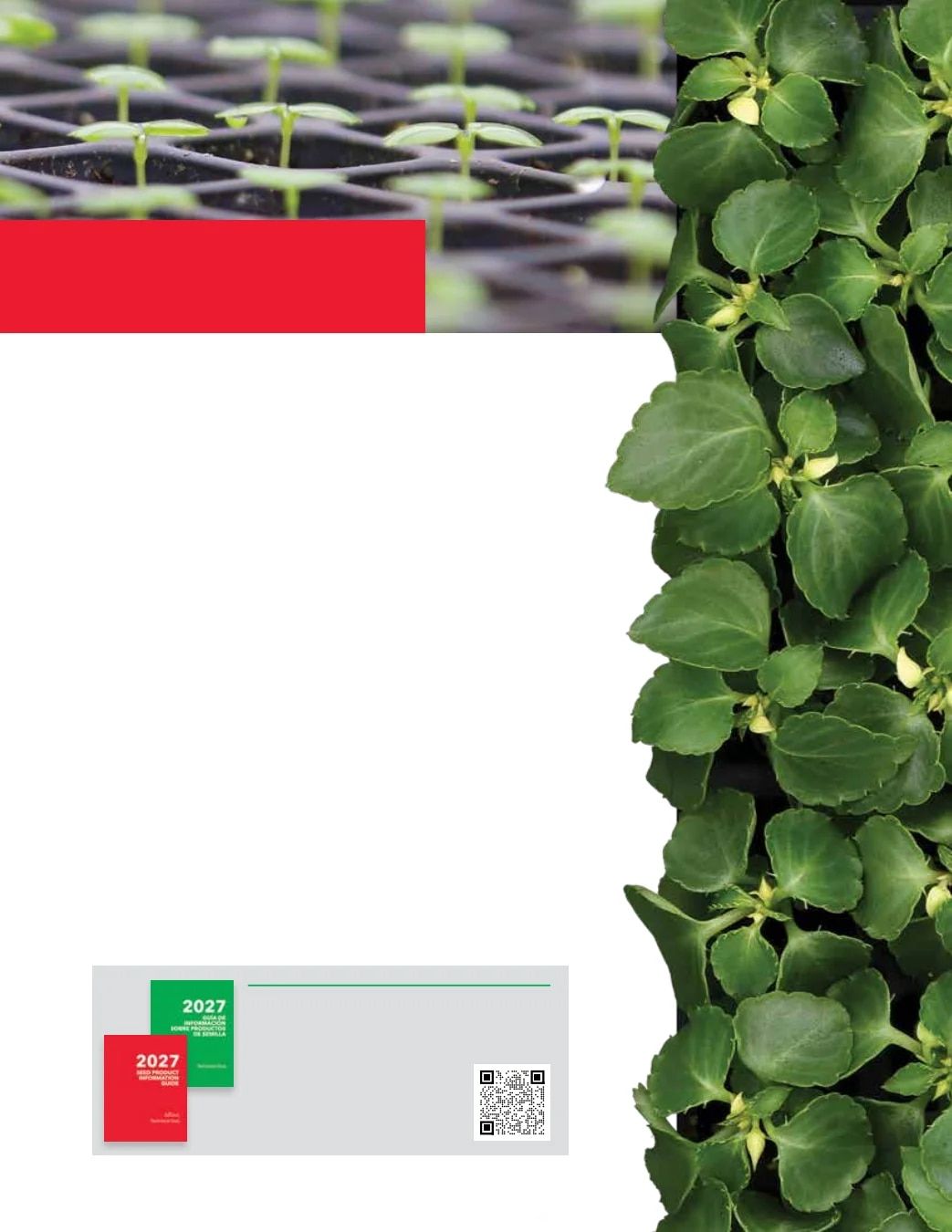 Ball Seed Seed and Plugs Catalog Weekly Ad August 31, 2026 - December 31, 2028