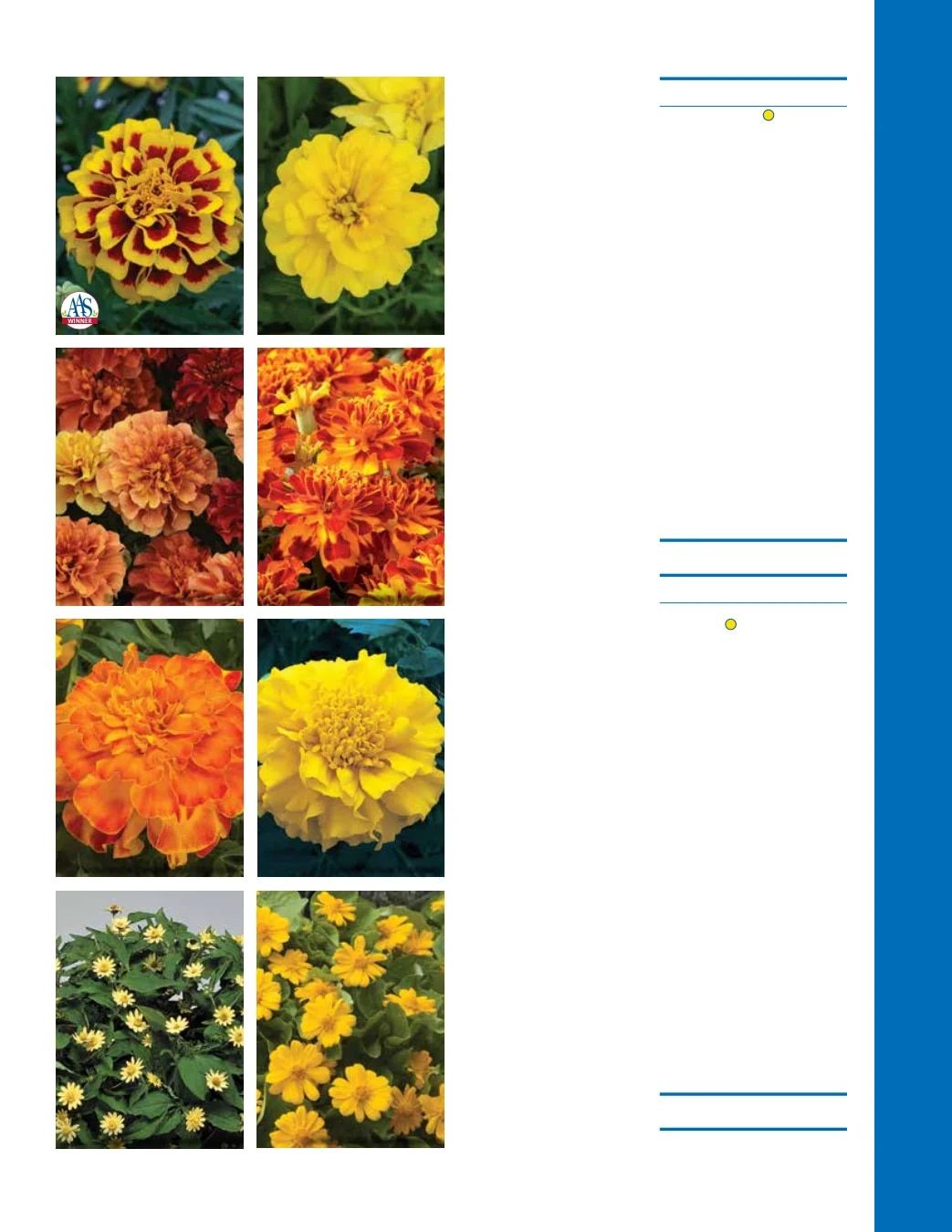 Ball Seed Seed and Plugs Catalog Weekly Ad August 31, 2026 - December 31, 2028