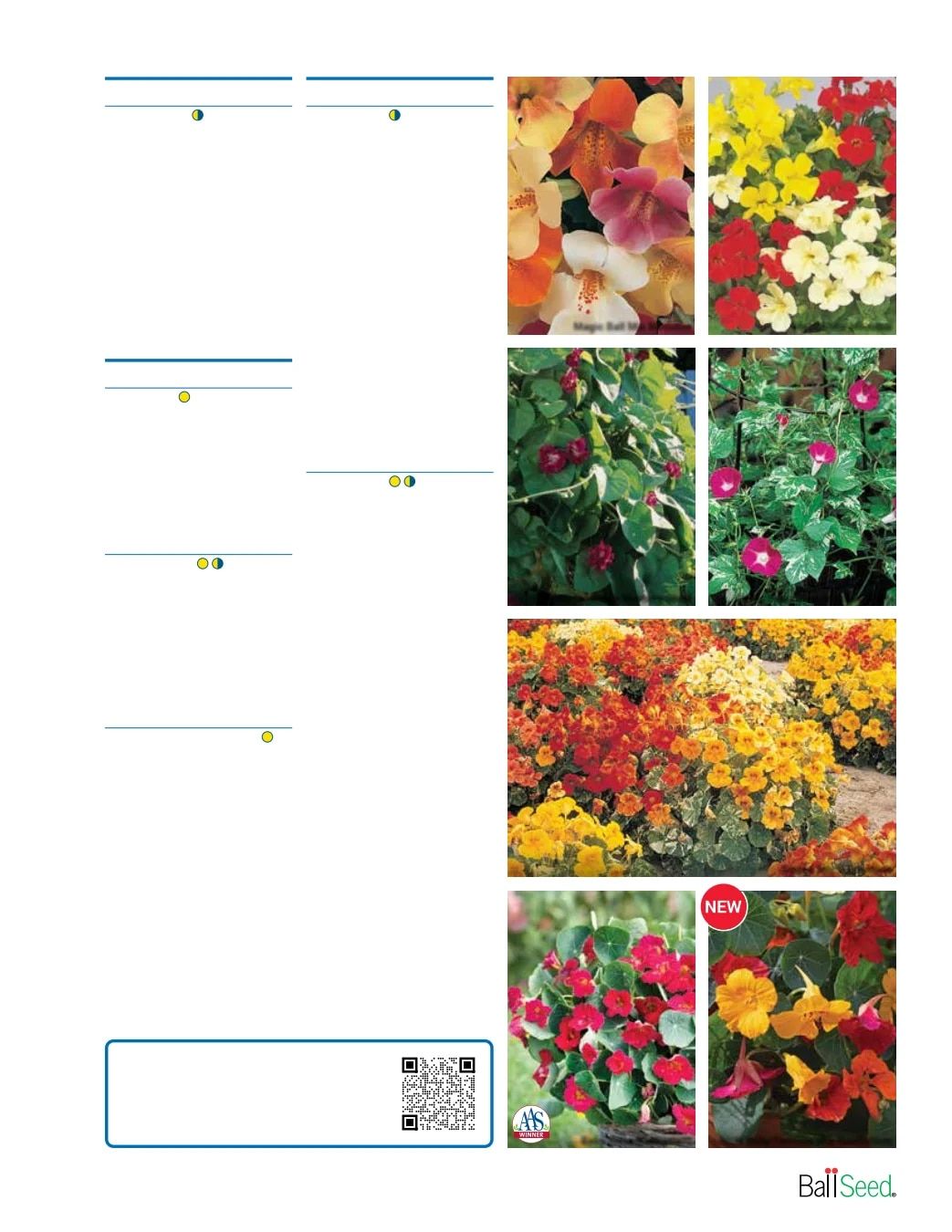 Ball Seed Seed and Plugs Catalog Weekly Ad August 31, 2026 - December 31, 2028