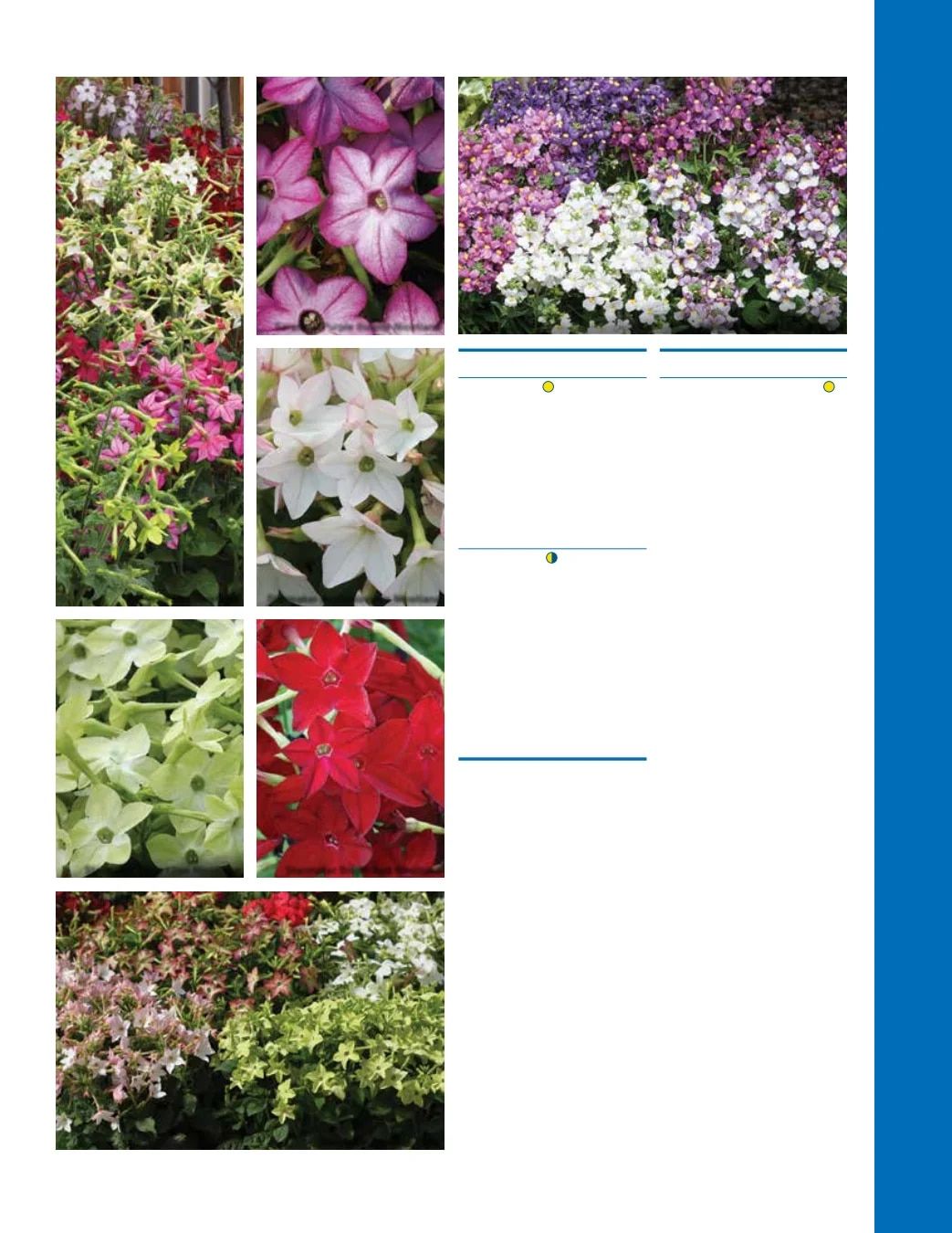 Ball Seed Seed and Plugs Catalog Weekly Ad August 31, 2026 - December 31, 2028