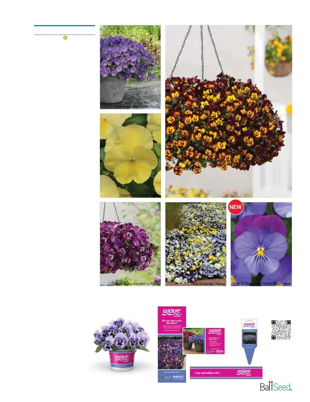 Ball Seed Seed and Plugs Catalog Weekly Ad August 31, 2026 - December 31, 2028