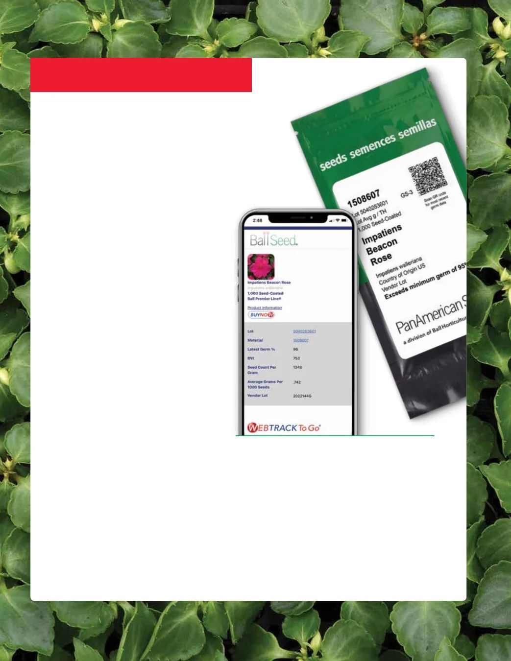 Ball Seed Seed and Plugs Catalog Weekly Ad August 31, 2026 - December 31, 2028
