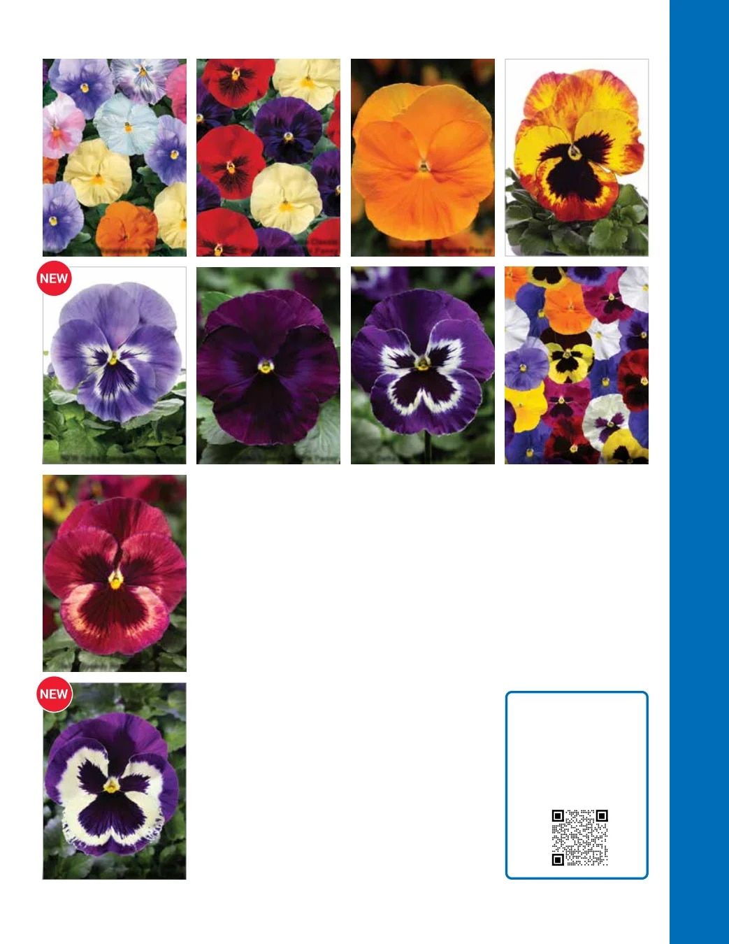 Ball Seed Seed and Plugs Catalog Weekly Ad August 31, 2026 - December 31, 2028