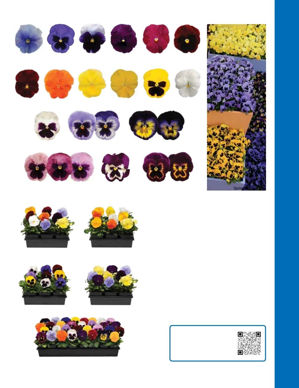 Ball Seed Seed and Plugs Catalog Weekly Ad August 31, 2026 - December 31, 2028
