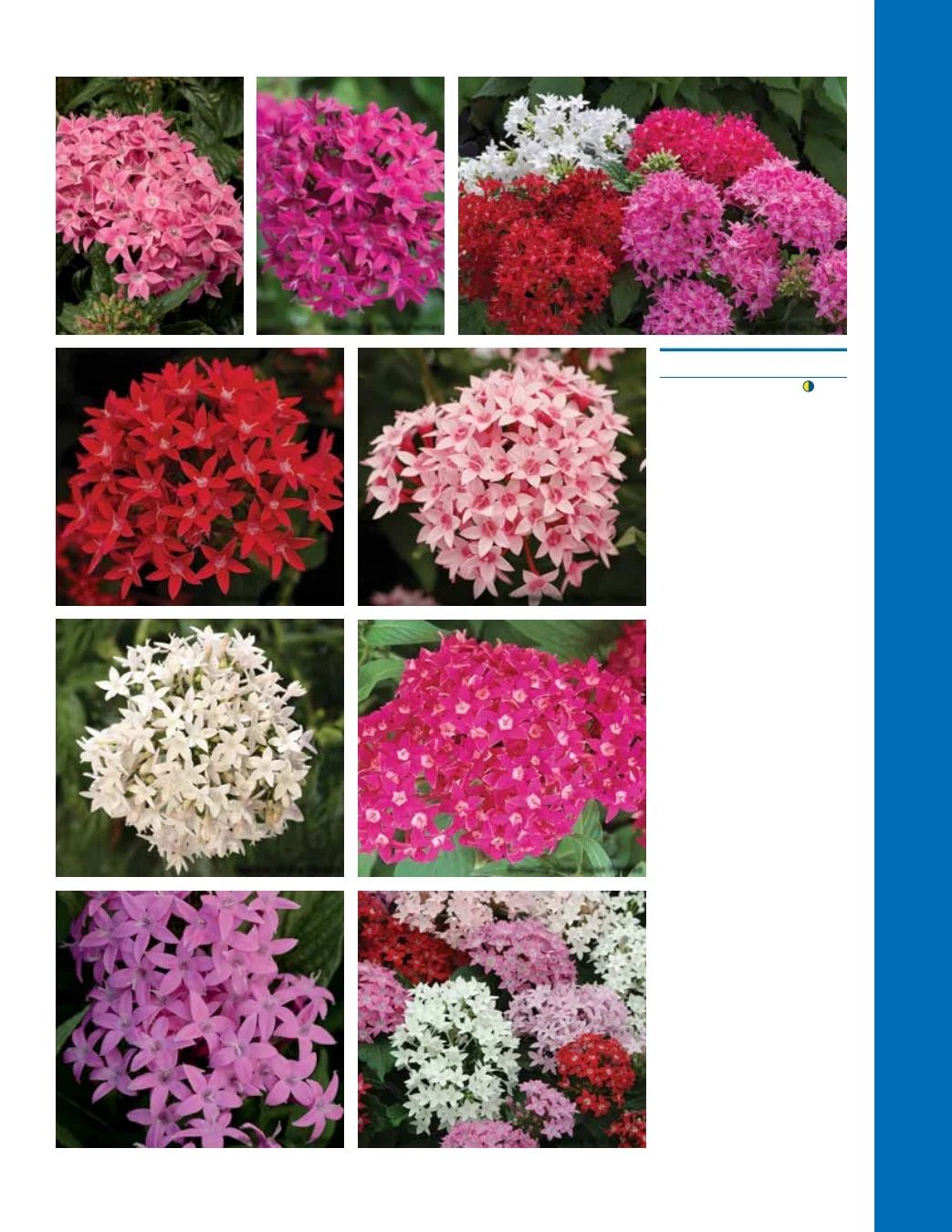 Ball Seed Seed and Plugs Catalog Weekly Ad August 31, 2026 - December 31, 2028