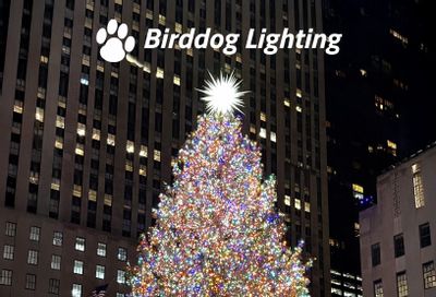 Birddog Lighting Holiday Lighting Catalog Weekly Ad January 1 - December 31, 2026