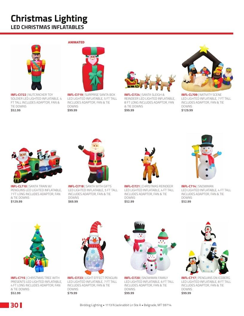 Birddog Lighting Holiday Lighting Catalog Weekly Ad January 1 - December 31, 2026