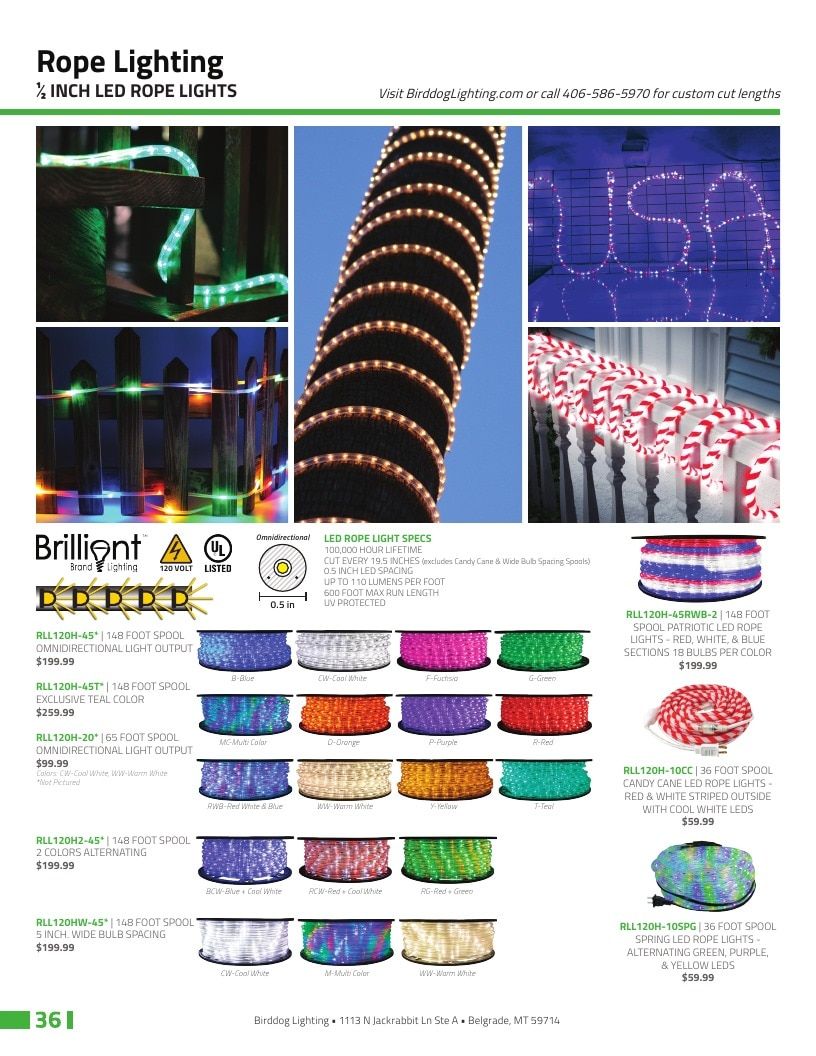 Birddog Lighting Holiday Lighting Catalog Weekly Ad January 1 - December 31, 2026