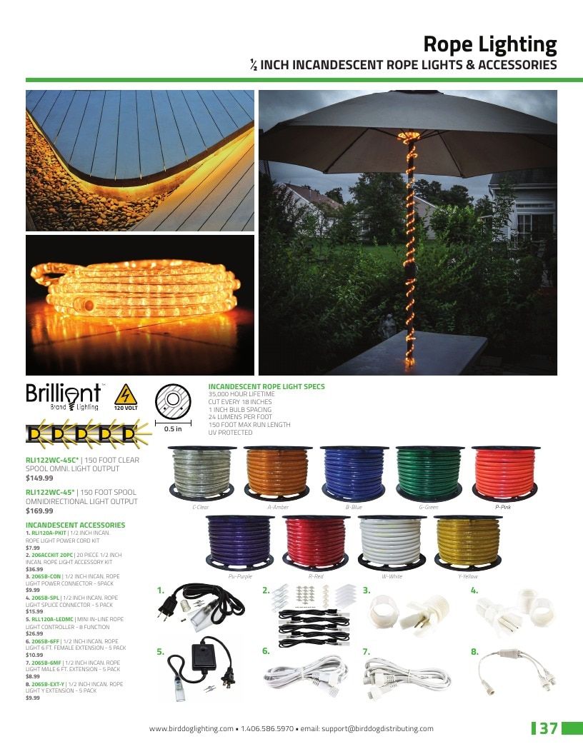 Birddog Lighting Holiday Lighting Catalog Weekly Ad January 1 - December 31, 2026
