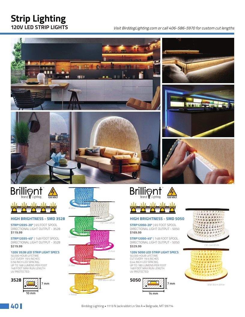 Birddog Lighting Holiday Lighting Catalog Weekly Ad January 1 - December 31, 2026