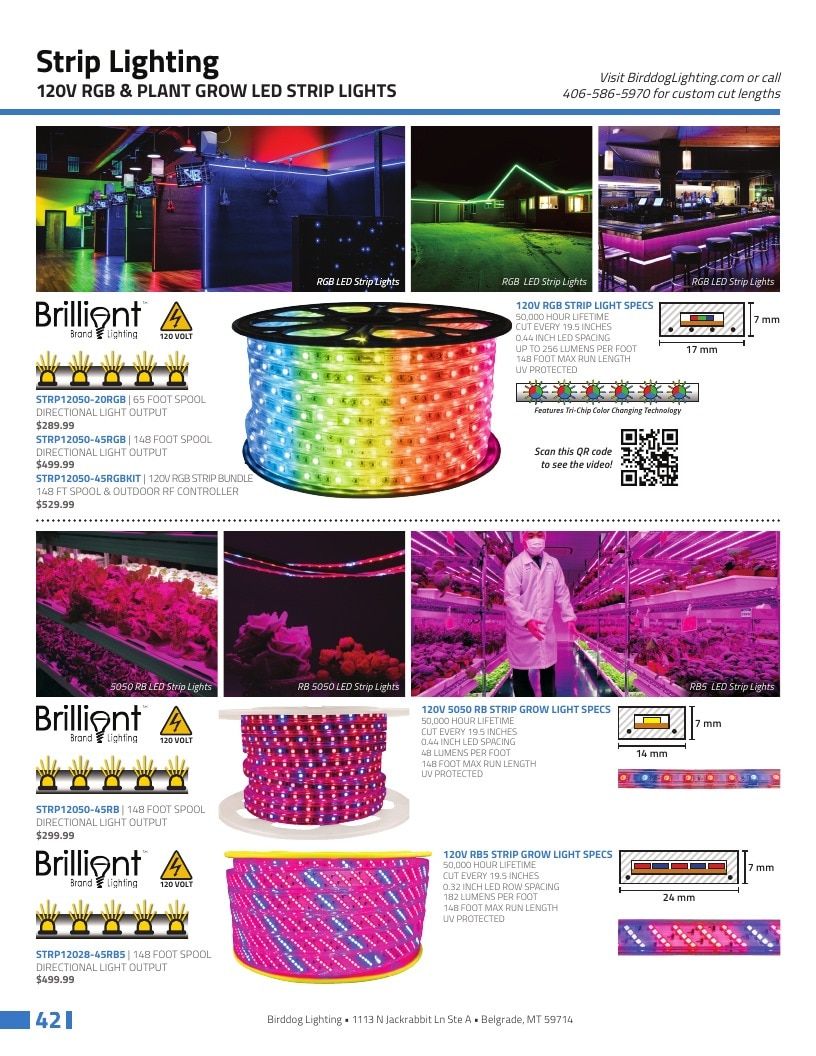 Birddog Lighting Holiday Lighting Catalog Weekly Ad January 1 - December 31, 2026