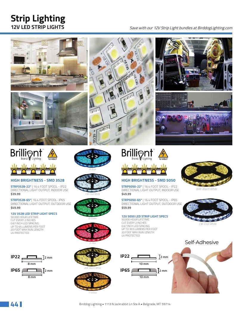 Birddog Lighting Holiday Lighting Catalog Weekly Ad January 1 - December 31, 2026